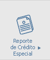 Reporte de Crédito Especial